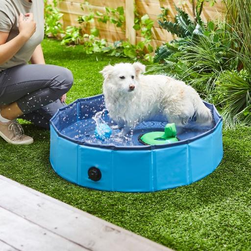 Pool for Dogs