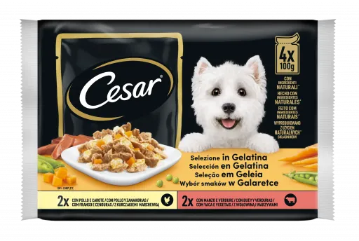 Cesar Nourriture humide pour chiens S&eacute;lection multiple de m&eacute;lang&eacute;es gel&eacute;e