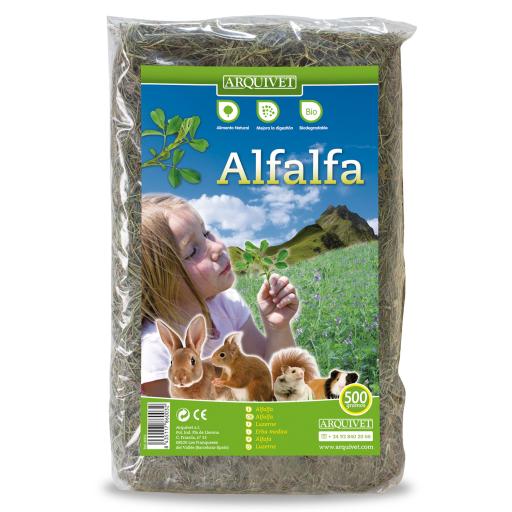Alfalfa Voor Knaagdieren