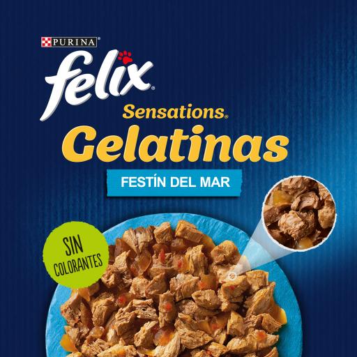 Purina Felix Multipack Sensations Fischauswahl Gelatine