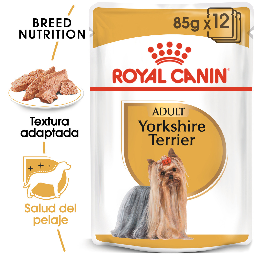 Miscota Royal Canin Cibo Umido per Yorkshire Terrier adulti