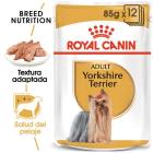 Yorkshire Terrier Adult 85 gr