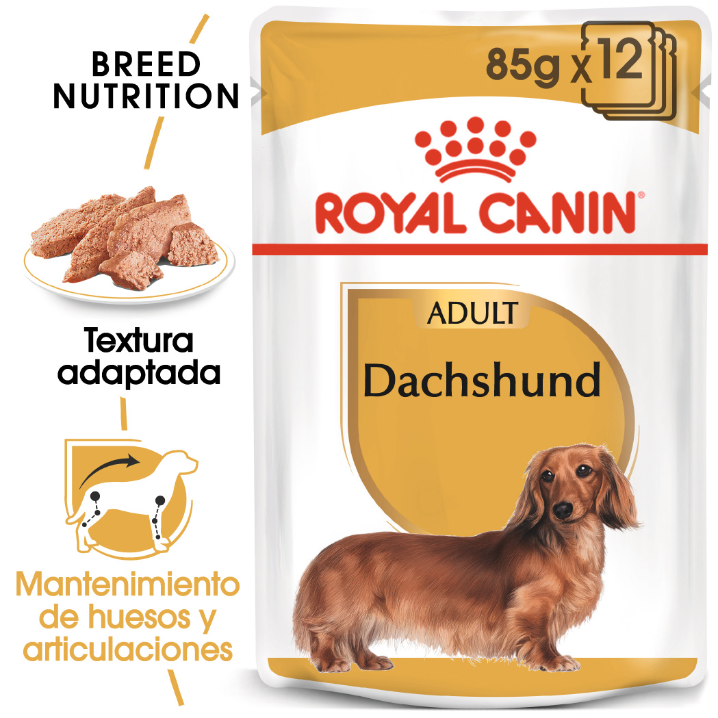 Miscota Pacco 12 Royal Canin Cibo Secco per Cani Dachshund Adult