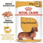 Comida H&uacute;meda Dachshund Adult para Teckel 85 gr