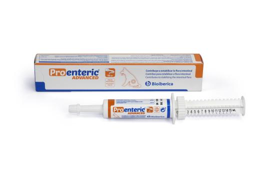 Proenteric Triplex Paste for Symptomatic Diarrhea Management