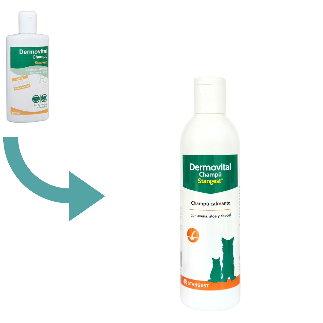 Miscota Stangest Shampoo Dermovital Calmante