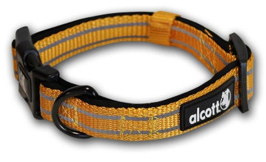 Miscota Alcott Orange Collar Adventure Traveler