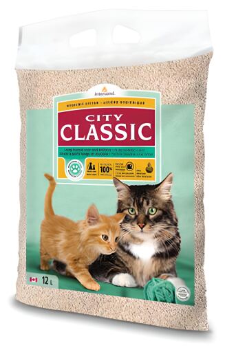 City Classic Longhair and Kittens