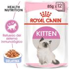 royal canin instinctive jelly