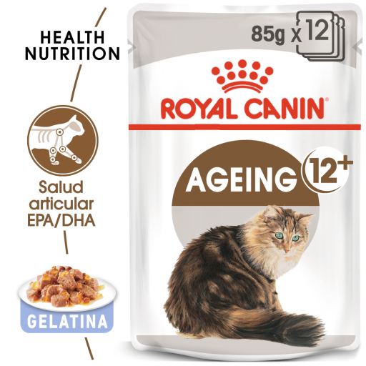 12+ vieillissement Cat Food humide Gélatine pour personnes âgées