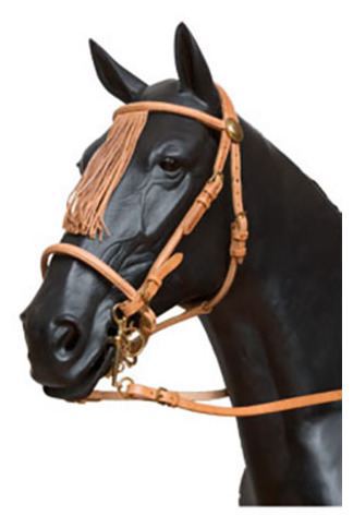 Bridle Arzuana Simple Lisa with Mosquero- Full Brown
