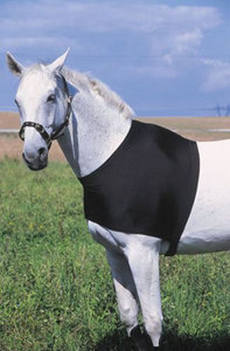 Protecteur dorsal noir T-M (cheval)