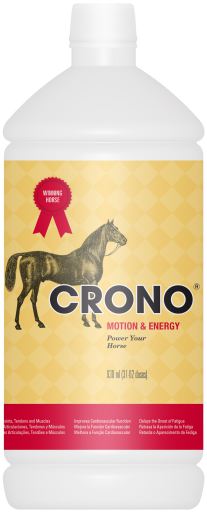 CRONO Motion & Energy