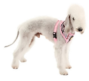 Puppia Harnais junior A Rosa