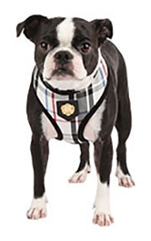 Puppia Harnais junior A Noir