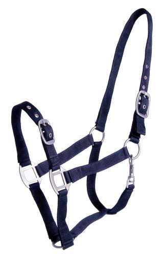 Double Adjustable Blue Full Bridle
