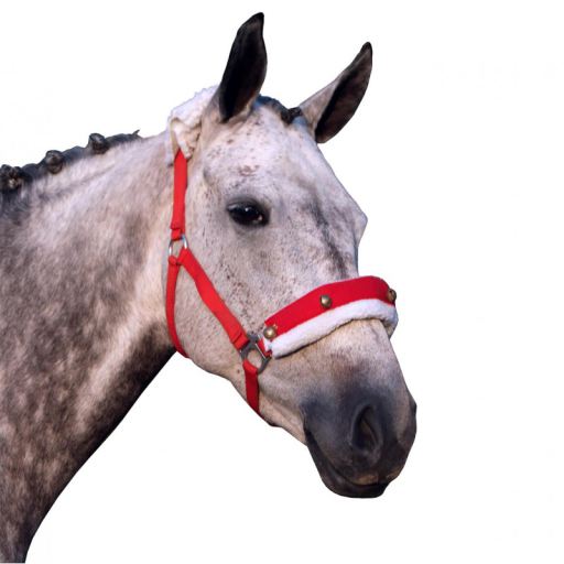 Red Bridle lining and bells