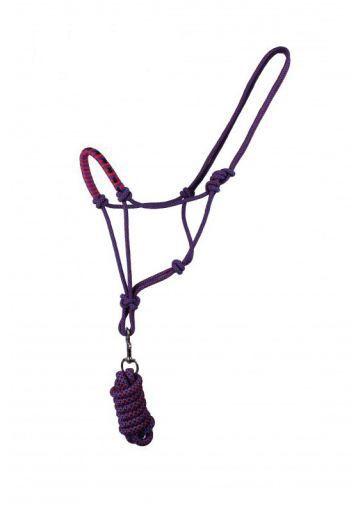 Ramal halter rope with Dazzling Cob