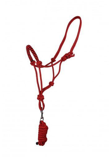Ramal halter rope with Fiery Red Pony