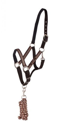 Bridle with brown Special Edition Ramal Cob