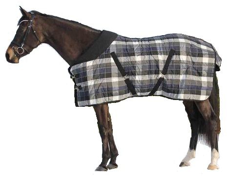 Stable winter blanket Check 300g navy Chique