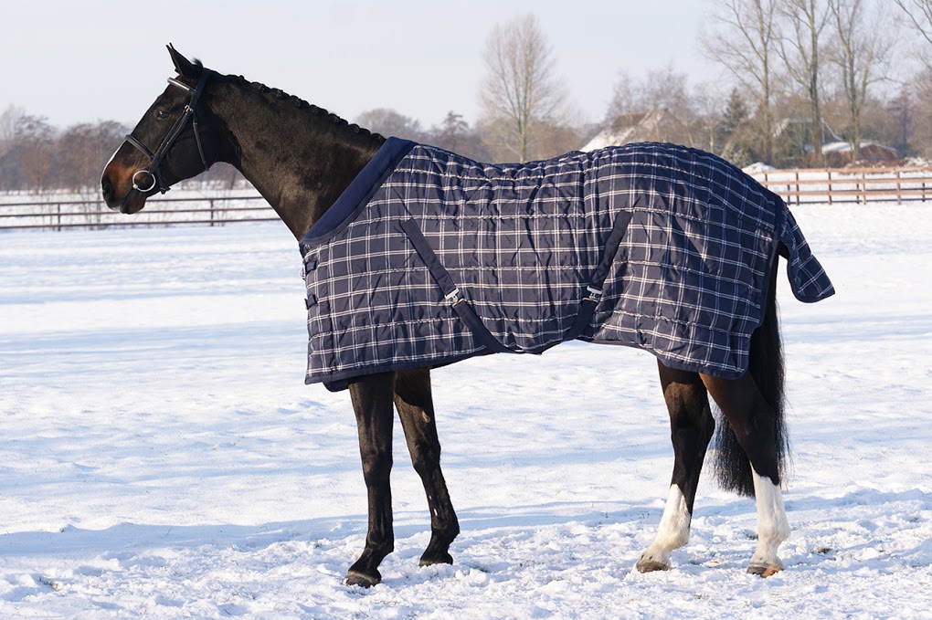 QHP Stable winter blanket 300g navy blue check