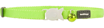 Collier Lime Smooth pour Chats