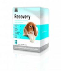 Recovery 10 x 20 g