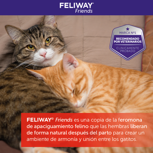Feliway Friends para gatos (feromonas)