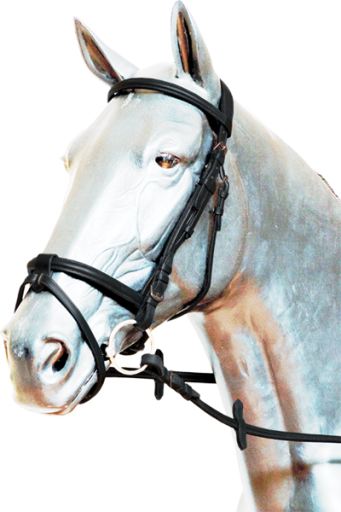English ae235 bridle with mini-pony mouth closes