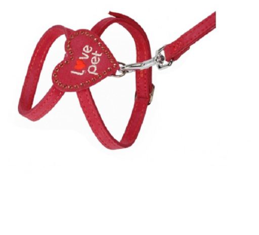 Harness leather strap 10x1200 mm Red