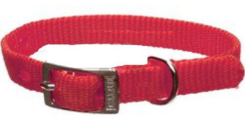 Collar De Nylon 25x500 mm Rojo