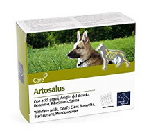 Artosalus 60 Tablets