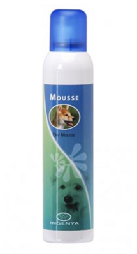 Quick Dry Foam Dry Cleaning Mousse 250 ml