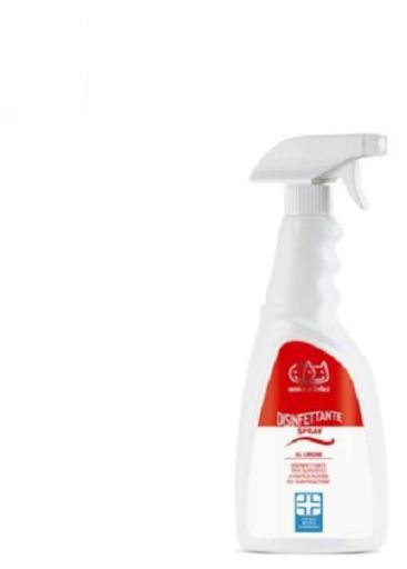 Disinfectant Spray 750 ml