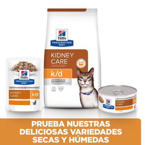 hills renal cat food pouches