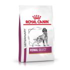 Royal canin renal sales select canine