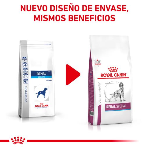 royal canin renal special dog food