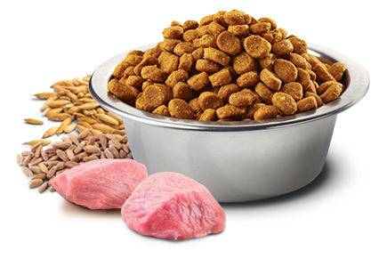 farmina ancestral grain lamb