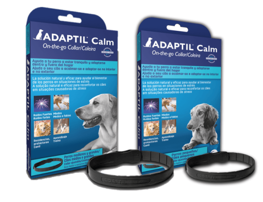 adaptil dog collar