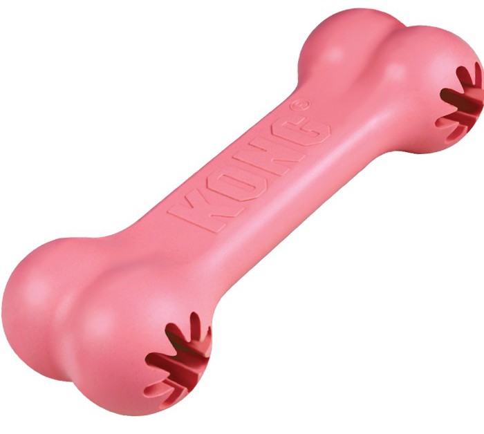 Miscota KONG Puppy Goodie Bone