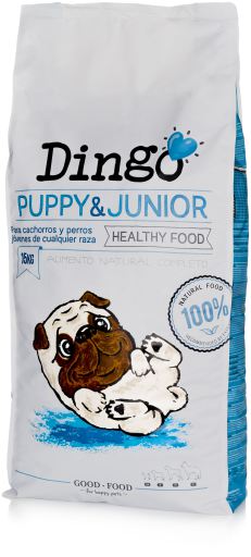 Dingo Puppy & Junior