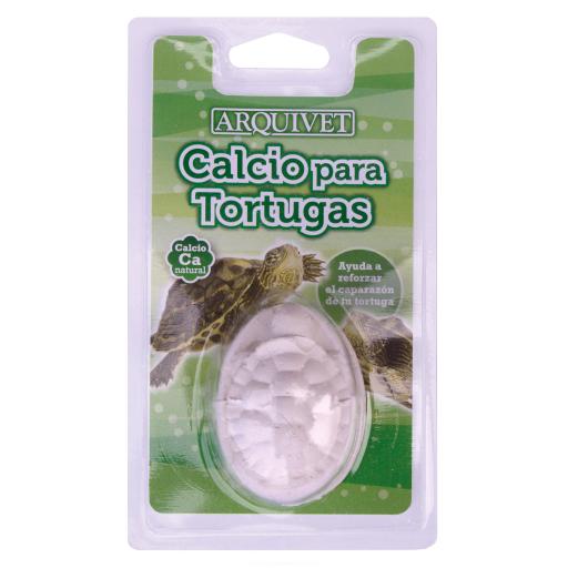 Calcium For Turtles