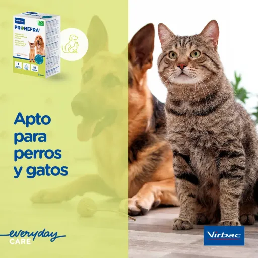 Virbac Pronefa for Renal Problems in Dogs and Cats - Miscota