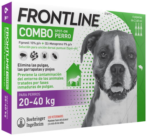 frontline combo medium dog