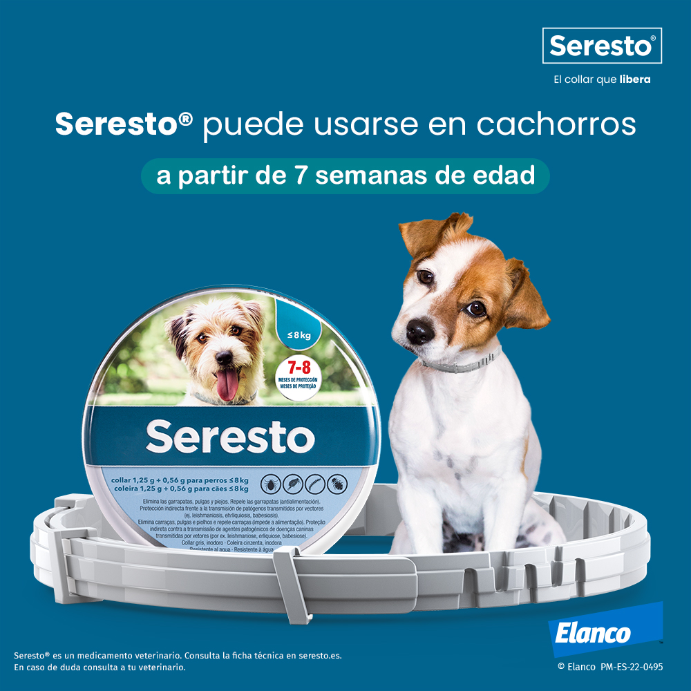 Seresto Dogs 8 Month Flea & Tick Collar Miscota Denmark