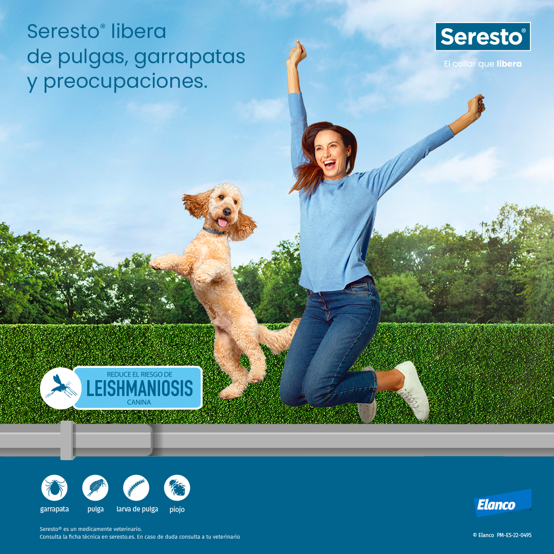 Seresto Collar Antiparasitario para Perros Miscota España