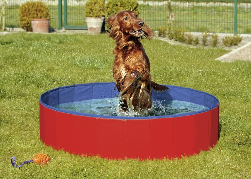 Miscota Flamingo Piscina Doggy