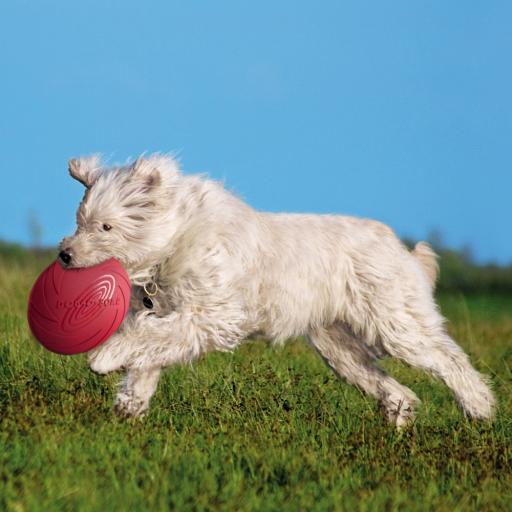 Trixie frisbee shops