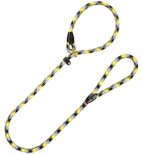 Arppe Correa Collar California Negro/Verde para Perro
